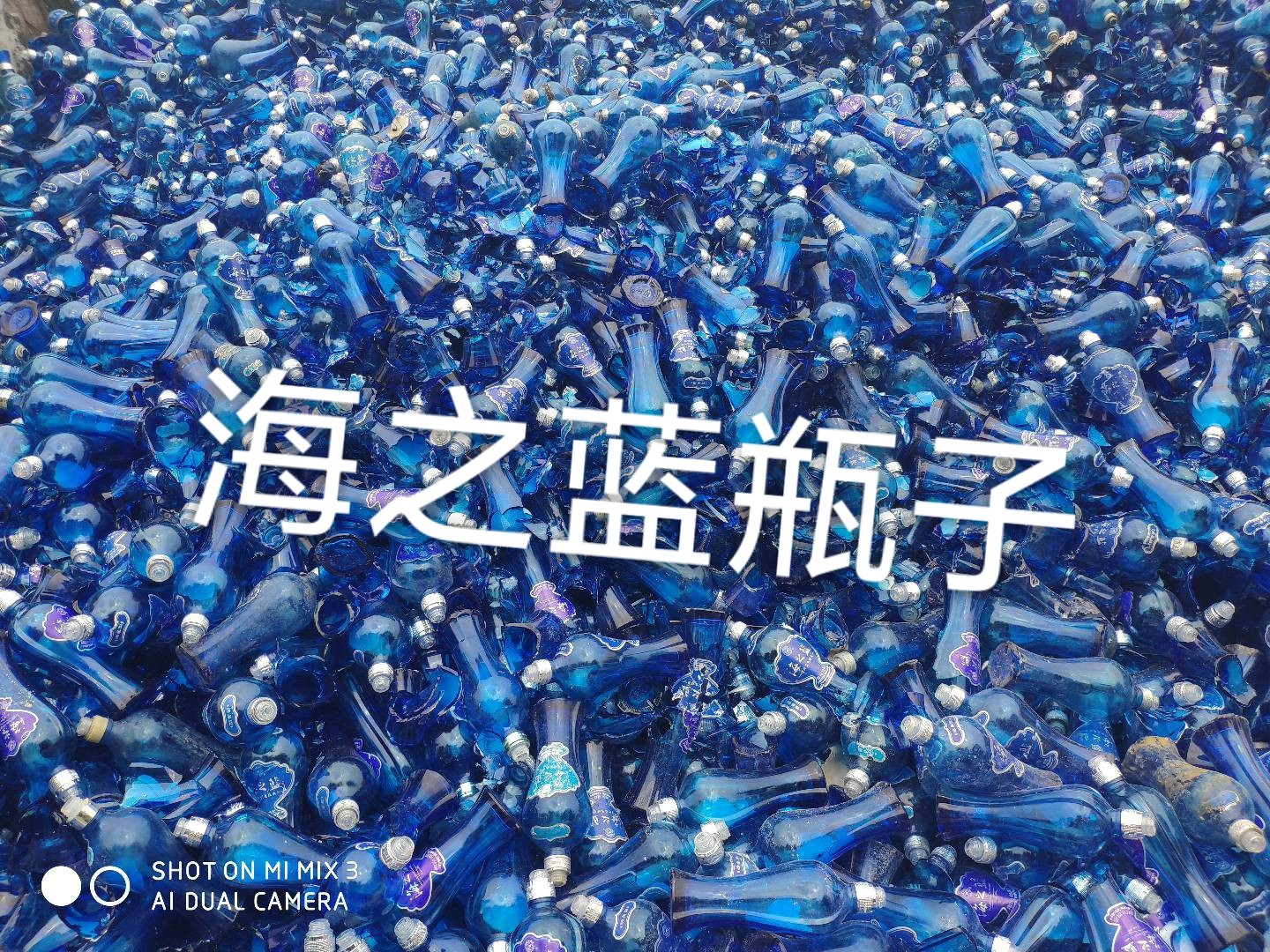 虎丘区海之蓝瓶回收