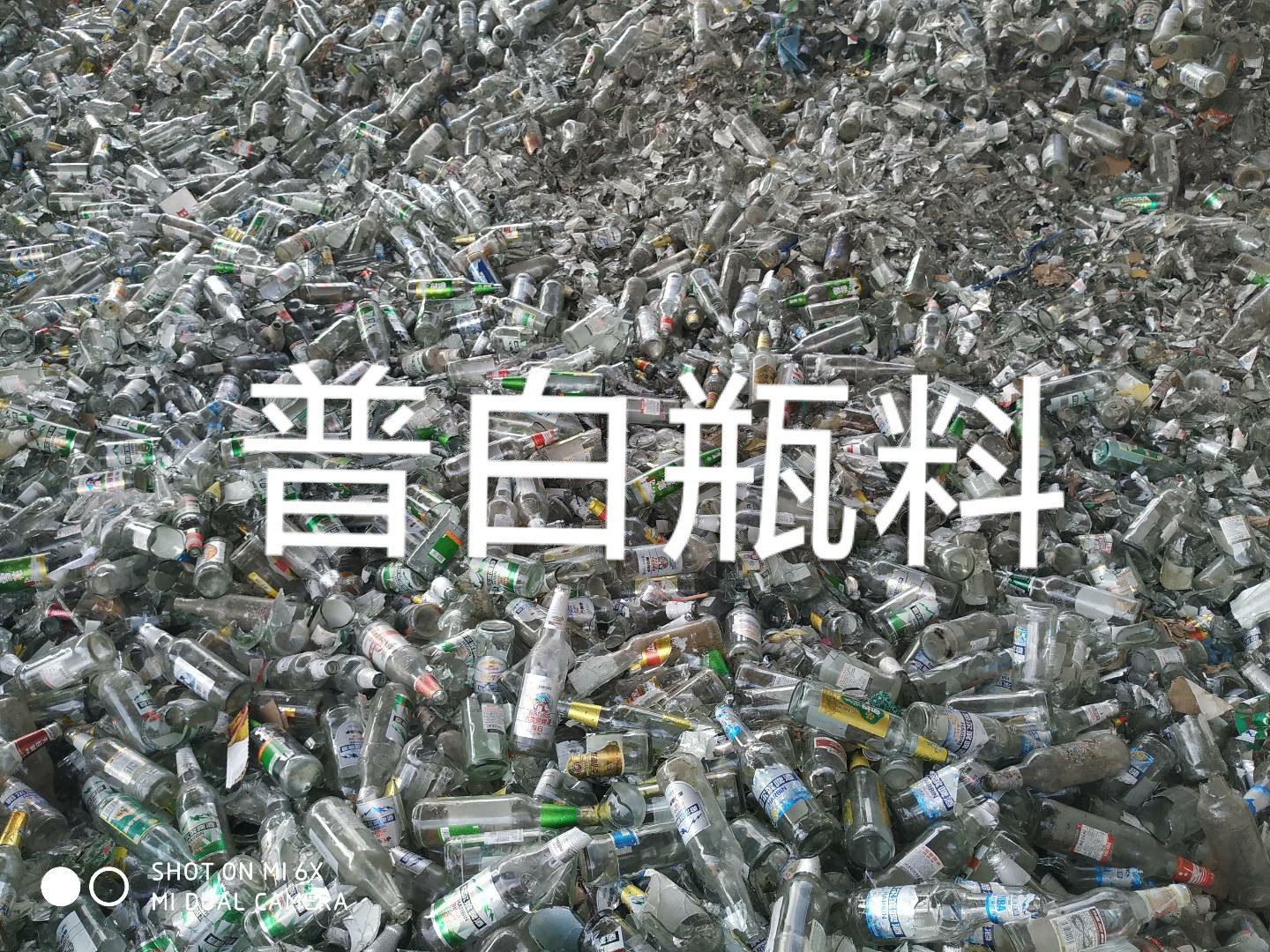 虎丘区普白瓶料回收